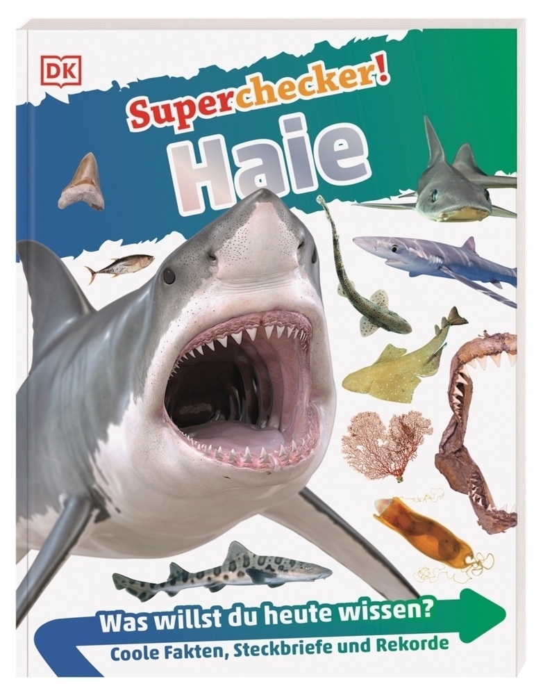 Haie / Superchecker! Bd.3 - Sarah Fowler  Kartoniert (TB)