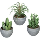 Creativ green Künstliche Zimmerpflanze Sukkulenten im Melamintopf, 3er Set grün