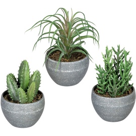 Creativ green Künstliche Zimmerpflanze »Sukkulenten«, im Melamintopf, 3er Set, grün