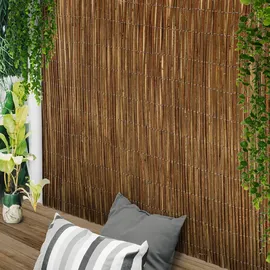 Sol Royal Windschutz 80 x 500 cm Beige Weide