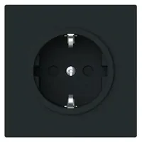 Busch-Jaeger Steckdoseneinsatz 20 EUCB-45M Schwarz 2 St.