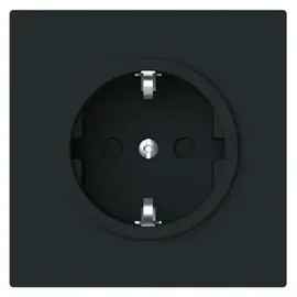 Busch-Jaeger Steckdoseneinsatz 20 EUCB-45M Schwarz 2 St.
