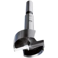 Fisch Tools Forstnerbohrer Type 0310 D.45mm Gesamt-L.90mm Schaft-D.10mm FISCH-TOOLS