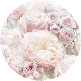 KOMAR Vliesfototapete Dot Pink and Cream Roses selbstklebend Ø 125 cm