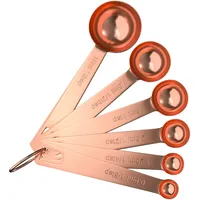 Intirilife 6-teiliges Messlöffel Set aus Edelstahl in Roségold -