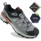 Salomon X ULTRA 360 Leather GORE-TEX Grau/Silber 42.2/3