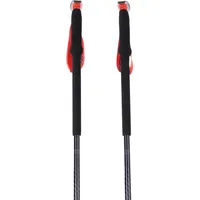 Dynafit Tour Tourenstock (Größe 145CM, schwarz)