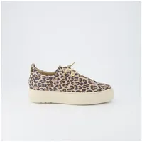 Paul Green Sneaker in Leopard | Gr.: 6