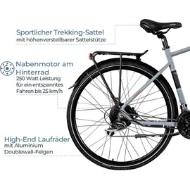 Zündapp Z810 2021 28 Zoll RH 52 cm grau