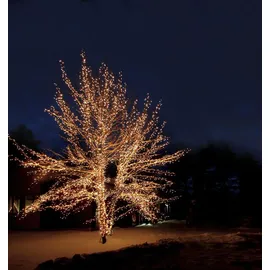 Best Season LED Lichterkette 10 m Schwarz warmweiß