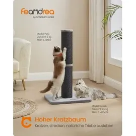 Songmics Kratzbaum 85 cm schwarz