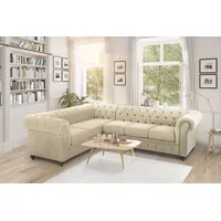 Home Affaire Chesterfield-Sofa »Duc Ecksofa L-Form«, hochwertige Knopfheftung im Rücken, Samtoptik mit changierender Optik beige