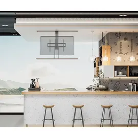My Wall myWall HP 66-3 224 m 88"), Schwarz