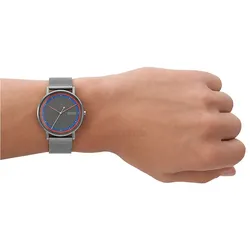 Skagen Herrenuhr SIGNATUR SKW6900 - grau