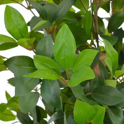 vidaXL Künstliche Pflanze Lorbeerbaum mit Topf Grün 150 cm