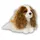 Anna Club Plush King Charles Spaniel 28177022
