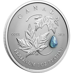 Kanada 2025: "Platin Maple Leaf"-Münze Rev.Proof mit Aquamarin-Edelstein