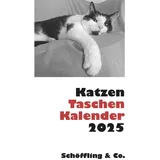 Schöffling Katzen Taschenkalender 2025 Taschenkalender 2025