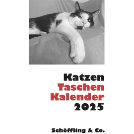 Schöffling Katzen Taschenkalender 2025 Taschenkalender 2025