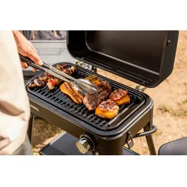 Coleman Darwin 4 Plus 4 Personen