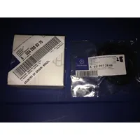 BorgWarner (Wahler) Thermostat, Kühlmittel