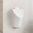 Geberit Renova S Urinal (503110001)