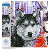 DIAMOND DOTZ DD10-040 Forest Wolf, ca. 40 x 50 cm groß, Diamond Painting, Malen mit Diamanten, funkelndes Bild zum Selbstgestalten, für Kinder und Erwachsene