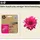 HP 937e EvoMore magenta