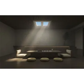 Xiaomi Yeelight Pro Dachleuchte P21 Dachleuchte P1