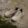 adidas Tracefinder Herren Khaki/Beige/Aurora Coffee 44