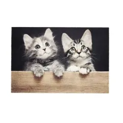 ASTRA Deco Print Motiv-Fußmatte, strapazierfähig, ca. 40 × 60 cm D.108 C.999  , Motiv: Katzen, Holz