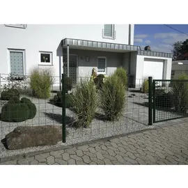 Elmar Jung Carat Gitterzaun 100x100mm, 1x20m