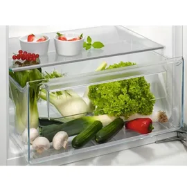 AEG TSF5O121DF Einbaukühlschrank (181 l, 1224 mm hoch)