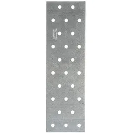 Simpson Lochblech NP 40 x 120 x 2,0 mm