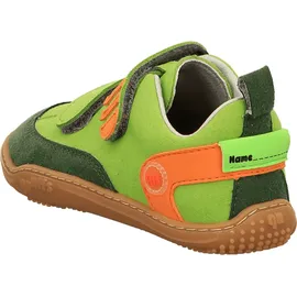 qnuffs Ahorn Grün 33