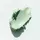 Dr. Ceuracle Jeju Matcha Clay Mask 115 g