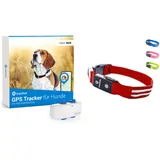 Tractive GPS Tracker für Hunde + LED-Halsband. Live-Ortung mit unbegrenzter Reichweite (Rot, L)