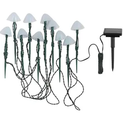 Lumisky LICHTERKETTE mit mini-pilzen 3.8M CHAMPY