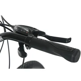 Dacapo Ravenna 50 28 Zoll RH 48 cm Herren grün