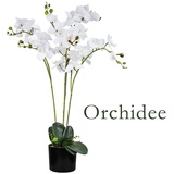 DECOVEGO Künstliche Blumen Orchidee Orchideen Pflanzen Kunstpflanze Kunstblumen Künstlich Pflanze Weiß mit Topf Deko 75 cm Decovego