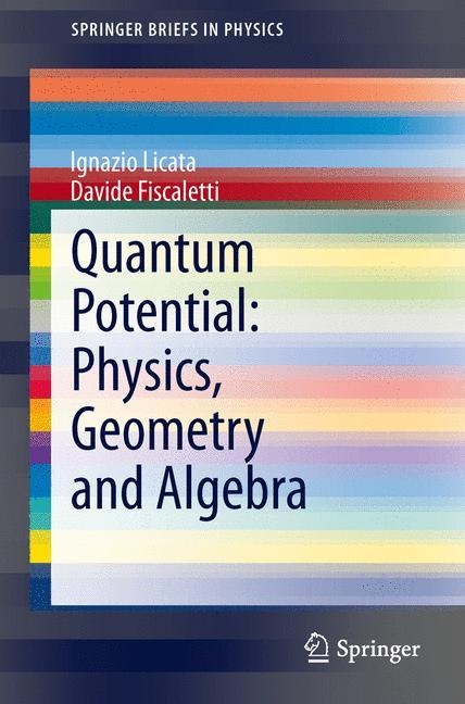 Quantum Potential: Physics  Geometry And Algebra - Ignazio Licata  Davide Fiscaletti  Kartoniert (TB)