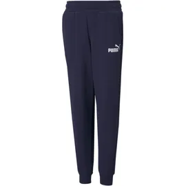 Puma ESS Logo Pants FL cl B Peacoat 128