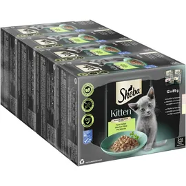 Sheba Kitten Feine Vielfalt in Sauce 12 x 85 g