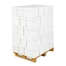 Inapa tecno Speed 80g 2500 Blatt