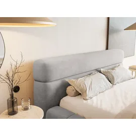 FEDVE Polsterbett Grau, Textil, 200x200 cm, - Silber