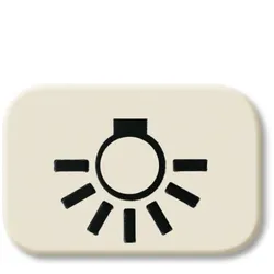 Busch-Jaeger 2525 LI Tastersymbol Licht