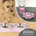 KaraLuna Napfunterlage mit Edelstahl Futternapf I Für Katzen & Hunde (200ml, Rosa)