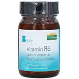HEIDELBERGER CHLORELLA Vitamin B6 Activ Kapseln 120 St.