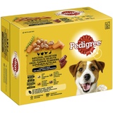 Pedigree Hundefutter nass