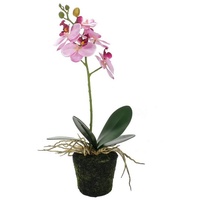 Kunstpflanze Phalaenopsis Orchidee, Bubble-Store, Orchidee rosa